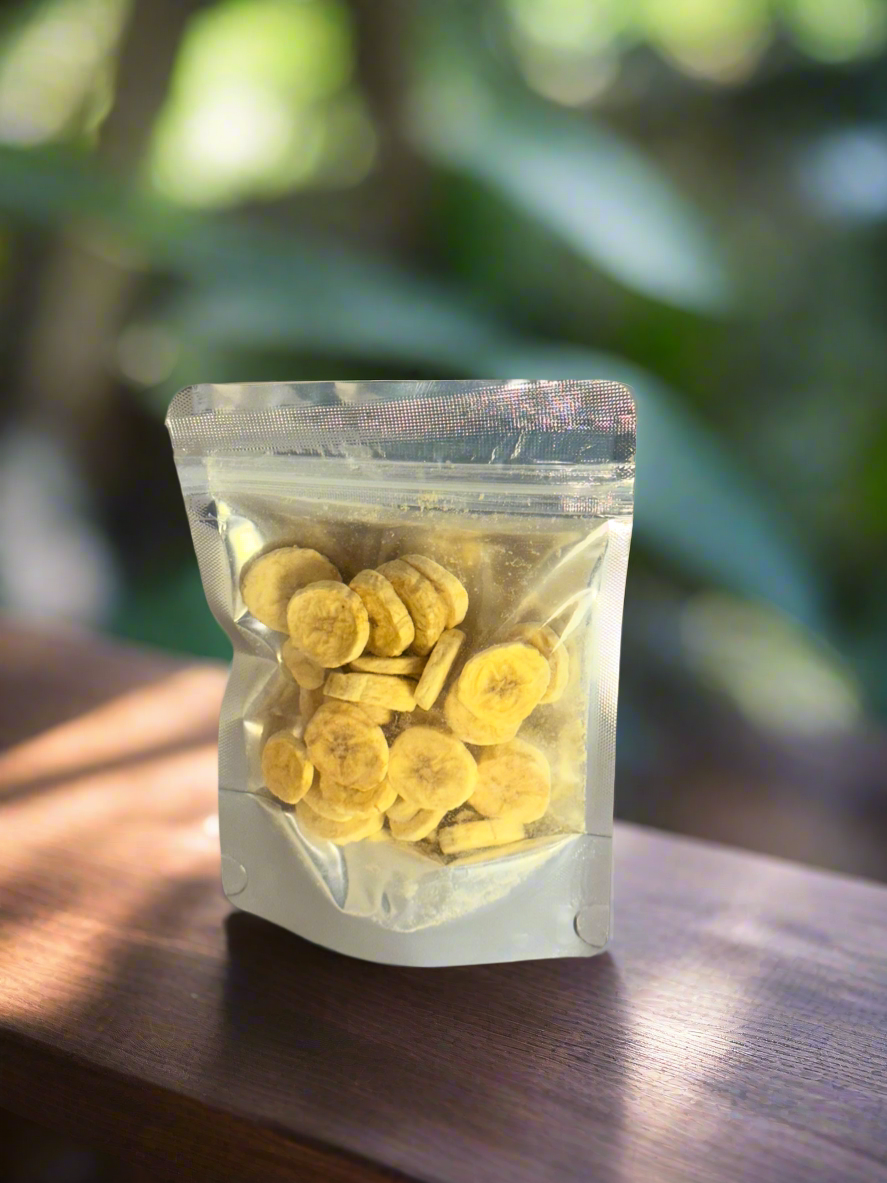 Freeze-Dried Bananas – Space Bites