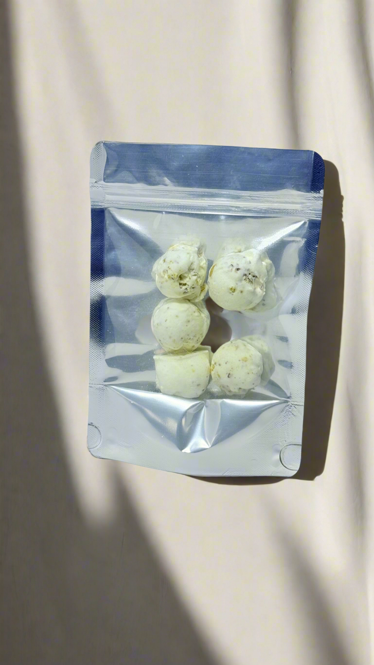 Limited Freeze-Dried Gelato | Space Bites
