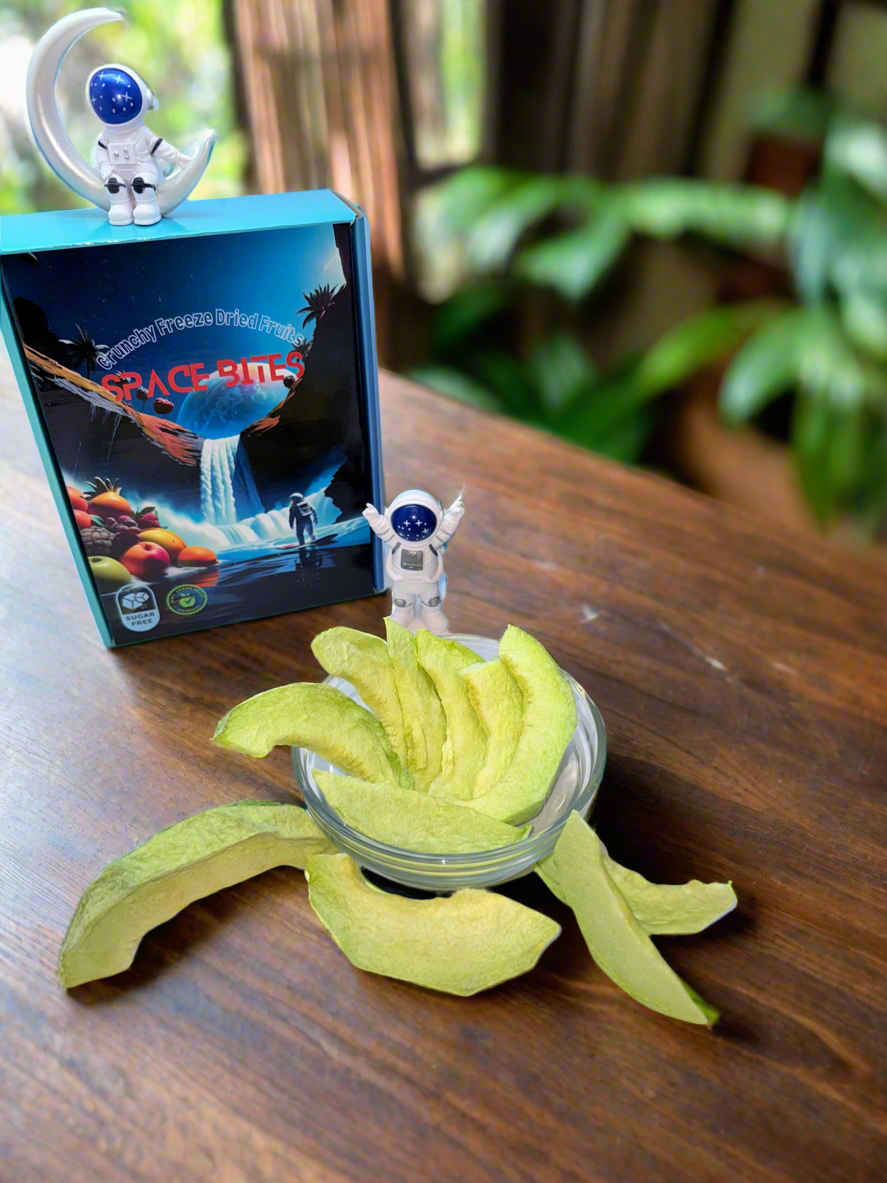Freeze-Dried Cantaloupe – Space Bites