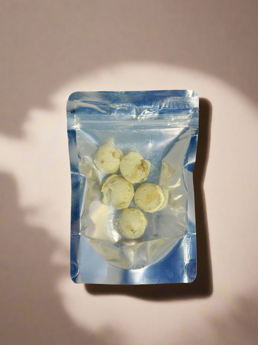 Limited Freeze-Dried Gelato | Space Bites