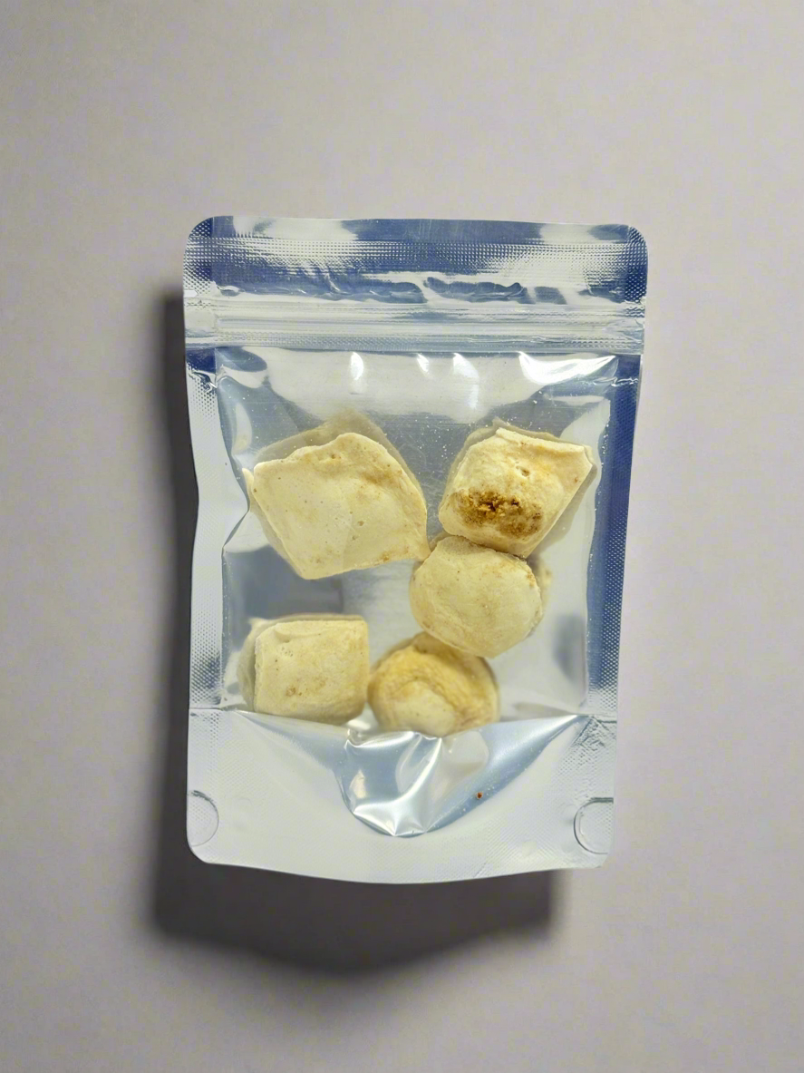 Limited Freeze-Dried Gelato | Space Bites