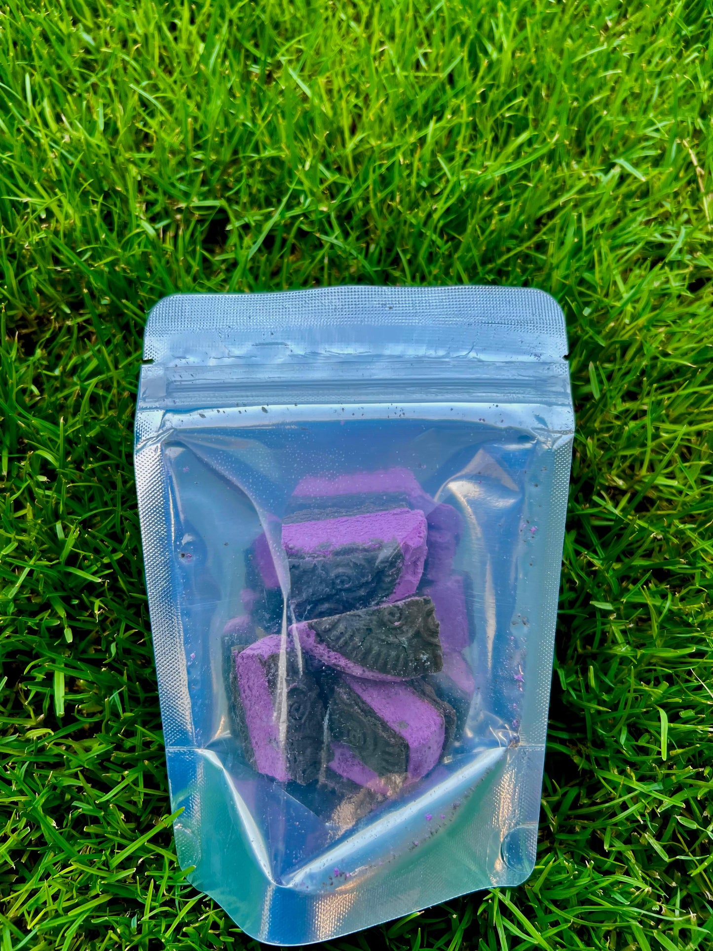 Freeze-Dried Ice Cream Sandwich - Space Bites