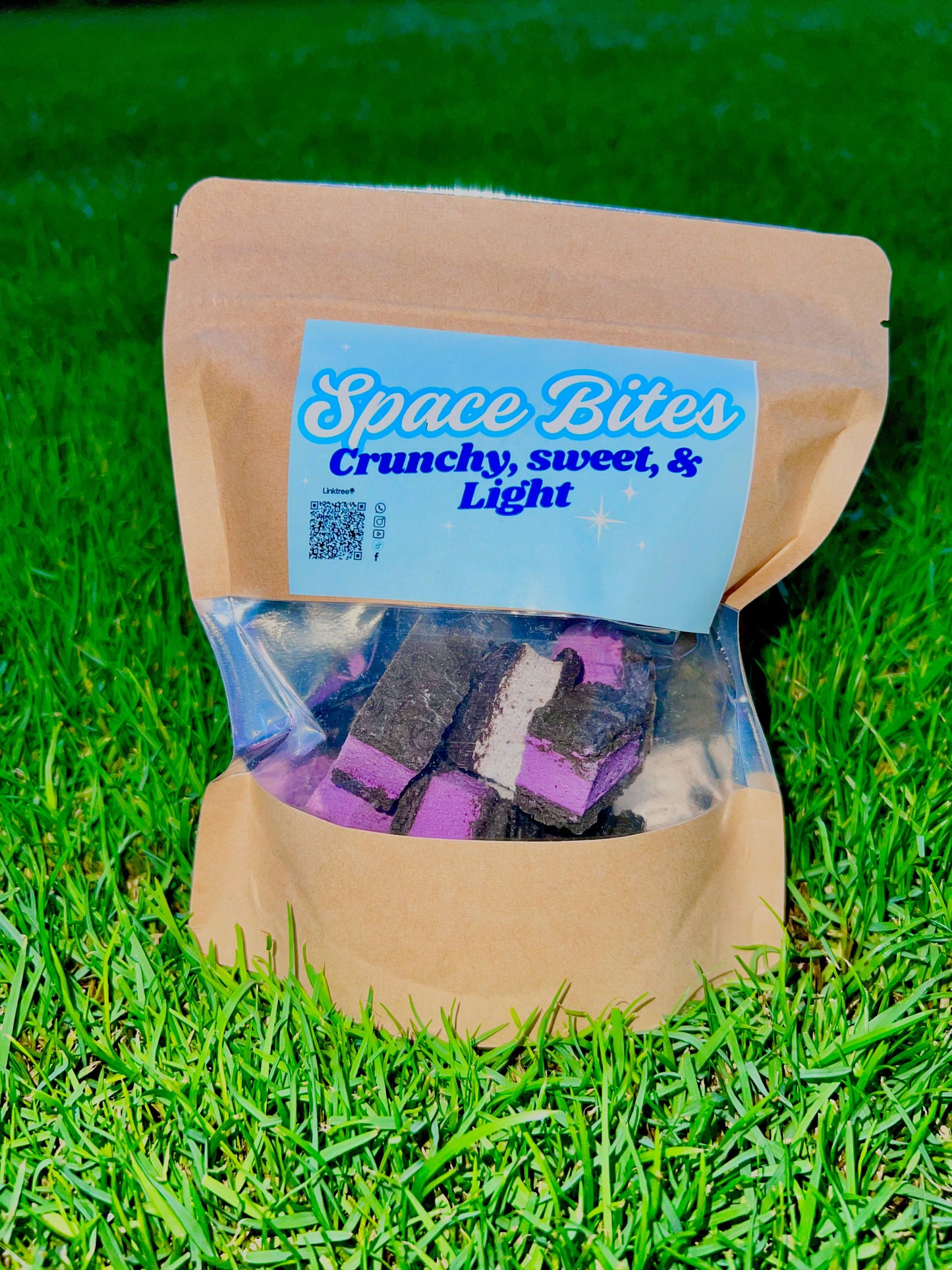 Freeze-Dried Ice Cream Sandwich - Space Bites