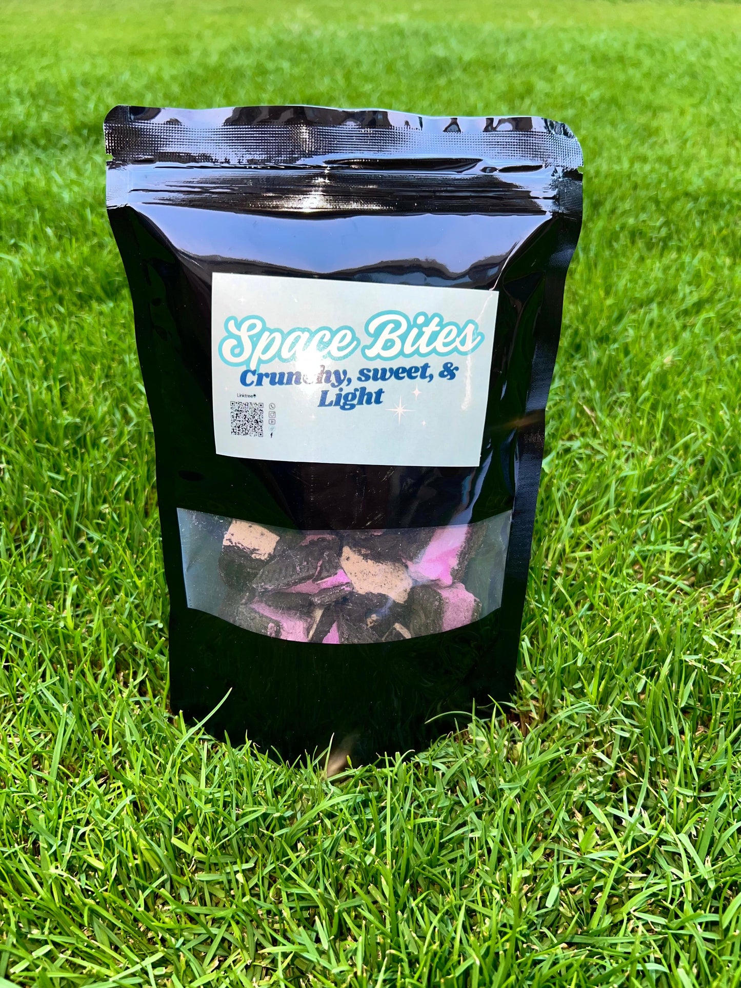 Freeze-Dried Ice Cream Sandwich - Space Bites
